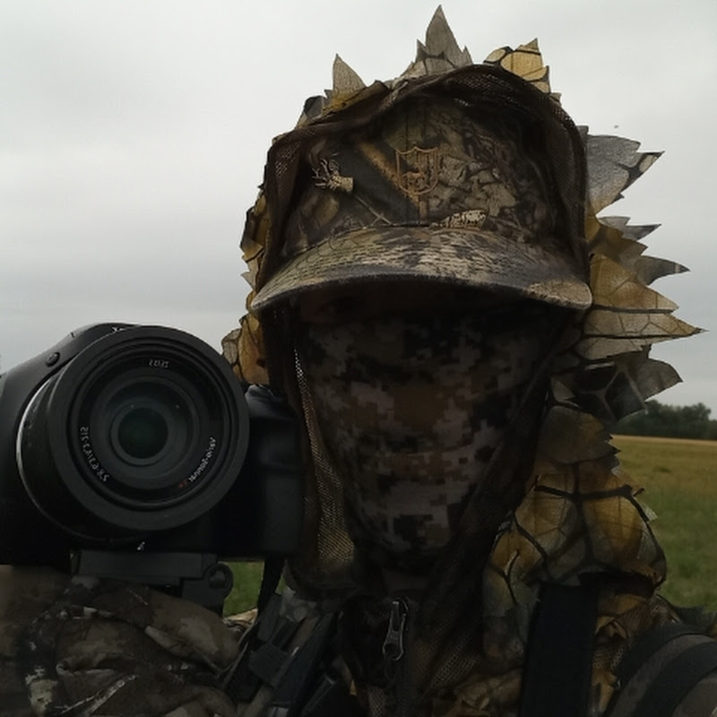 Hire Pieszo przez knieje — Pets & Animals YouTube creator for sponsorships