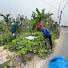 rVN7PZxNSMI-channel-avatar-Cleaning Overgrown 99