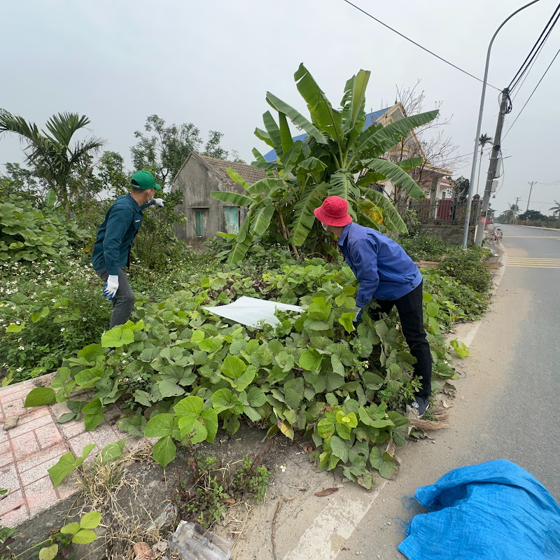 Cleaning Overgrown 99 Logo