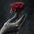 lzrCuaWqjeA-channel-avatar-Lunas De Amor
