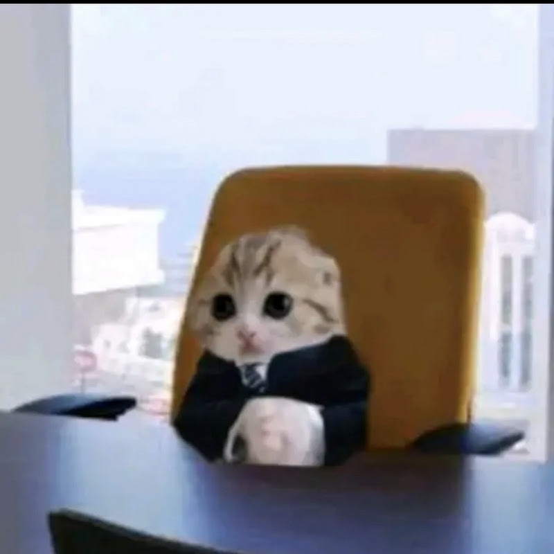 Channel Avatar