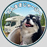 IqBnGmvqUjg-channel-avatar-どんままじゃーにー