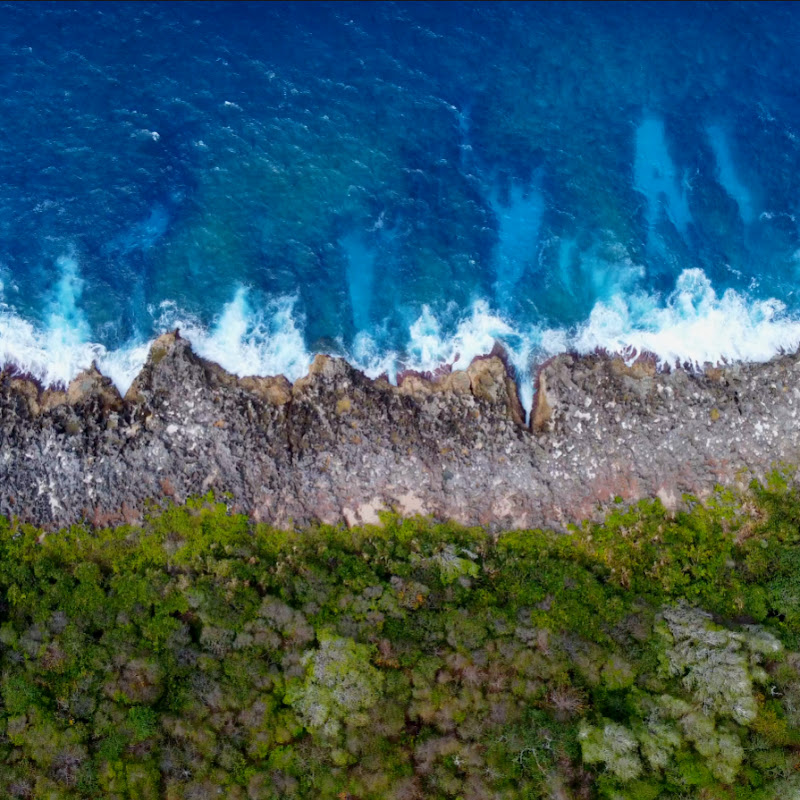 Forest Land Sea