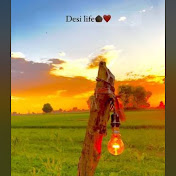 Desilife 