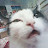 @Neko-Konekko