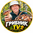 C_5klCs7gCU-channel-avatar-Грибник TV and 2 more