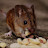 @Being_me-r2q Avatar