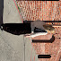 qDvMfA3fblM-channel-avatar-shiho