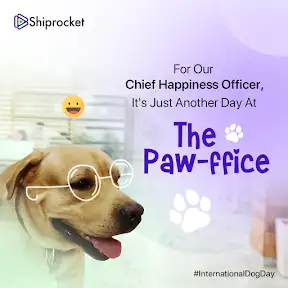 Shiprocket YouTube channel