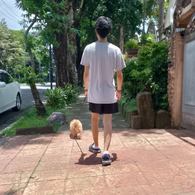 Andrei's Baon