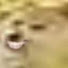 XRccxddOGKY-channel-avatar-Mr. Guiga