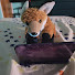 TXxIs9UhDlo-channel-avatar-fluffy the fox