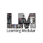 Chris Meyer's Alias Zone + Learning Modular