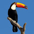 OXXaQA3nKOY-channel-avatar-Toucan Prime