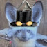 qkwIZ5n_z4w-channel-avatar-Fred21