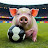Football Piggy