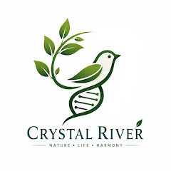 Crystal River