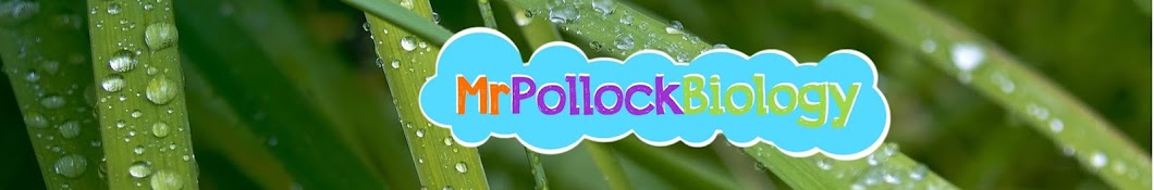 Mr Pollock YouTube channel avatar