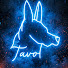 TDFxi0gluY8-channel-avatar-S o ñ a n d o   L l e g a s .