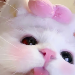 rnnw 