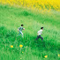 UgVi7rKmoVk-channel-avatar-Not Just Bromance  and Not Just BL Chaos