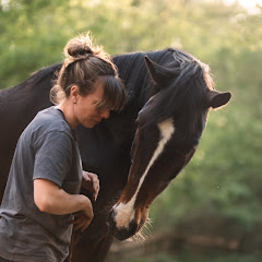 Carnet d'une Cavali&egrave;re
