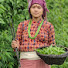 ZGtqSeXYiC0-channel-avatar-@RuralVillageKitchen2