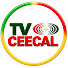 czGFCAWcRLQ-channel-avatar-TV CEECAL