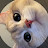 @user-fc9ku8ce6z