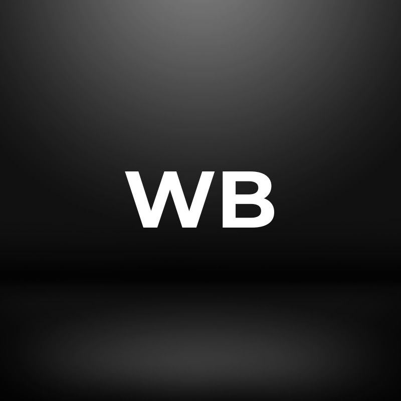 World Brief