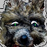 2hb41PTeO4A-channel-avatar-Der Knatterfurz-Wolf