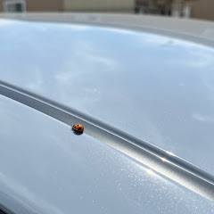 NISSAN NOTEAURAと思い出アイコン画像