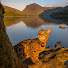 qoDFWTDTT-Q-channel-avatar-Lola Travel Cat