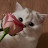 @Dalia-B-s2e