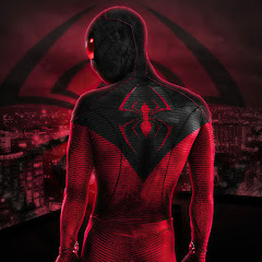 Mr. Masked Hero avatar