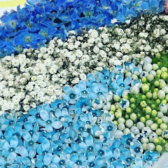 讃美の喜びアイコン画像