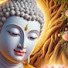 Wdmp9yeIu88-channel-avatar-แสงธรรมสอนใจ