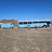 Blue Van Dan