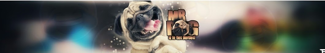 MR PUG YouTube kanalı avatarı