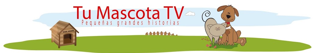 Tu Mascota TV YouTube kanalı avatarı