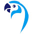 ro8kshhOYeA-channel-avatar-Beauty of Birds