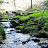 JWlX_MkK8IE-channel-avatar-Nature Ambience Studio