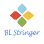 BL Stringer & Co Ltd logo