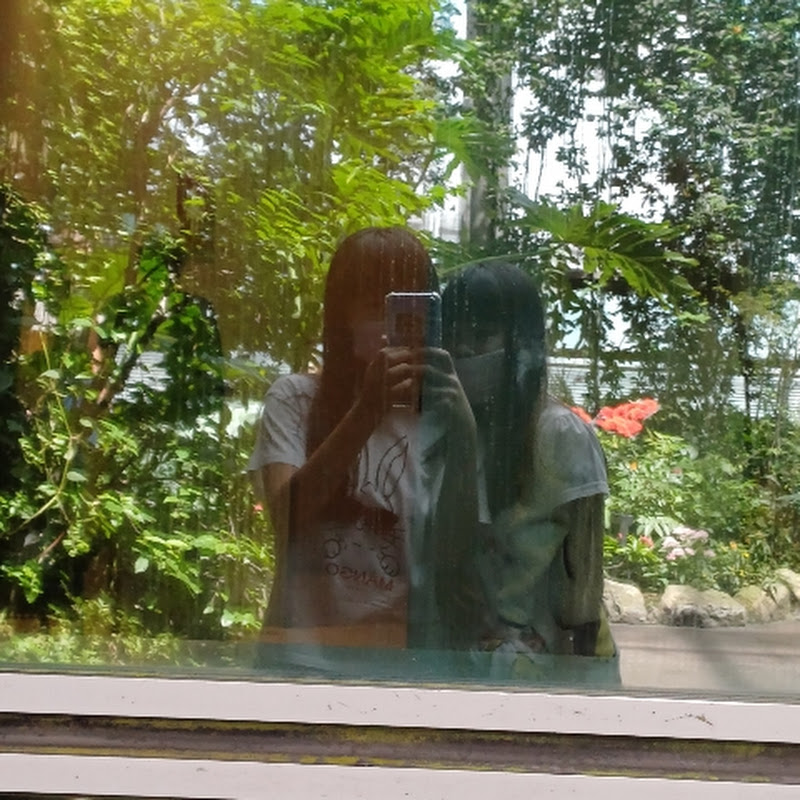 ~ 𝑳𝒆𝒂 & 𝑻𝒉𝒆𝒂 ~