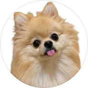 にゃんぽめ日記🐾