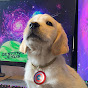 DestinysJesus Avatar