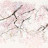 @연보-e8n