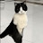 @Sparkydizzle86 Avatar