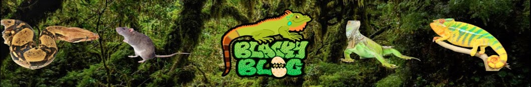Blacky Blog YouTube channel avatar