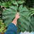 @TropicalDanUK Avatar